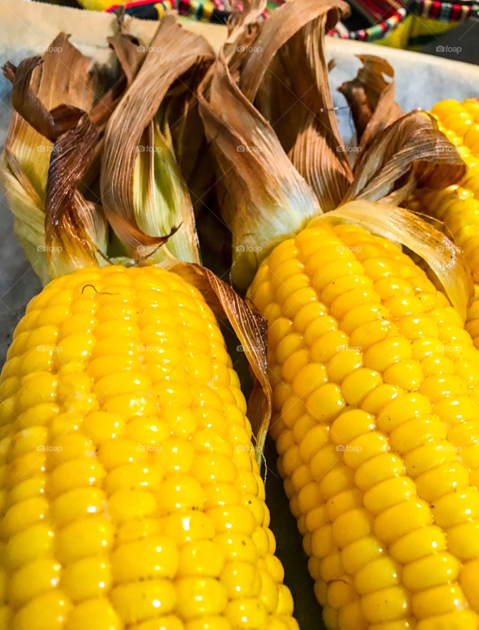 Close-up view corn on the cob corncobs with husk buttery