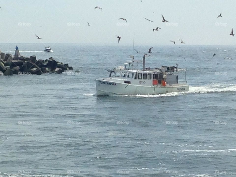 A fishing boat comes through Manasquan Inlet. Seagulls fly above the boat in hopes of getting their own catch of the day. 