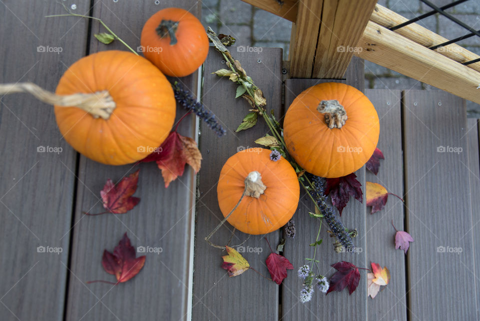 Pumpkins are always a great decoration on the steps once they are picked from the garden
