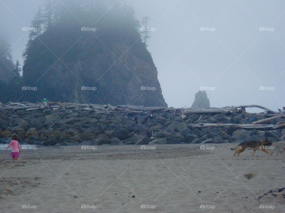 Playful On First Beach. While sitting on First Beach in La Push, Washington, I enjoyed watching this little girl and her dog play. 
