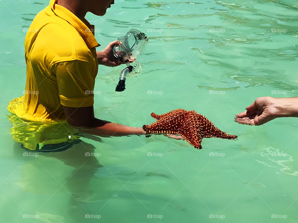 Diving with a mask and finding a starfish at the sea during the summer tropical vacation 