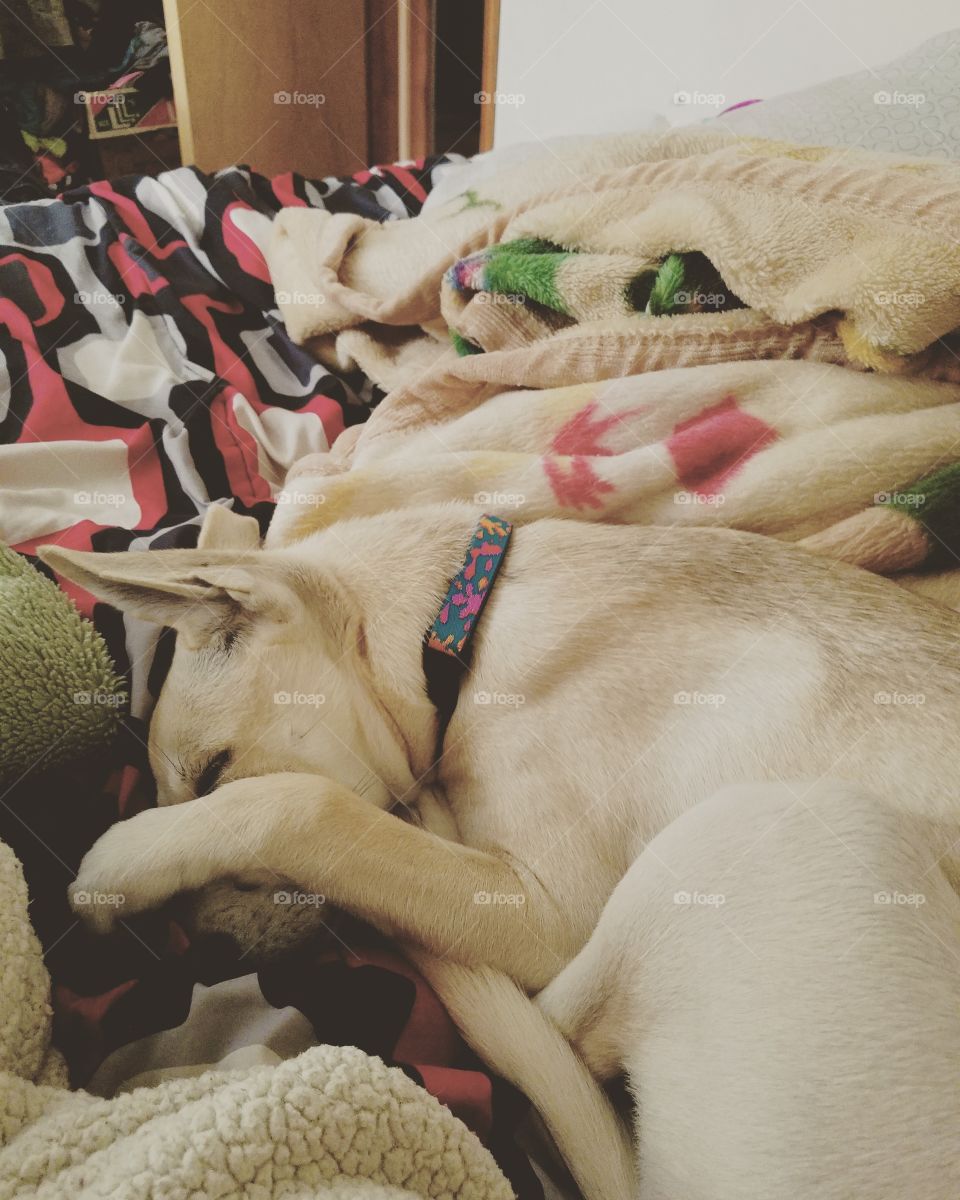 She's Cute When She Sleeps