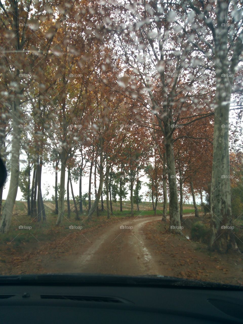 paisaje otoño