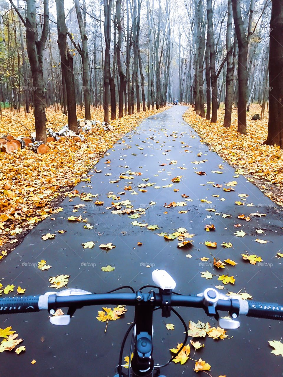 On a bicycle in the part in the fall