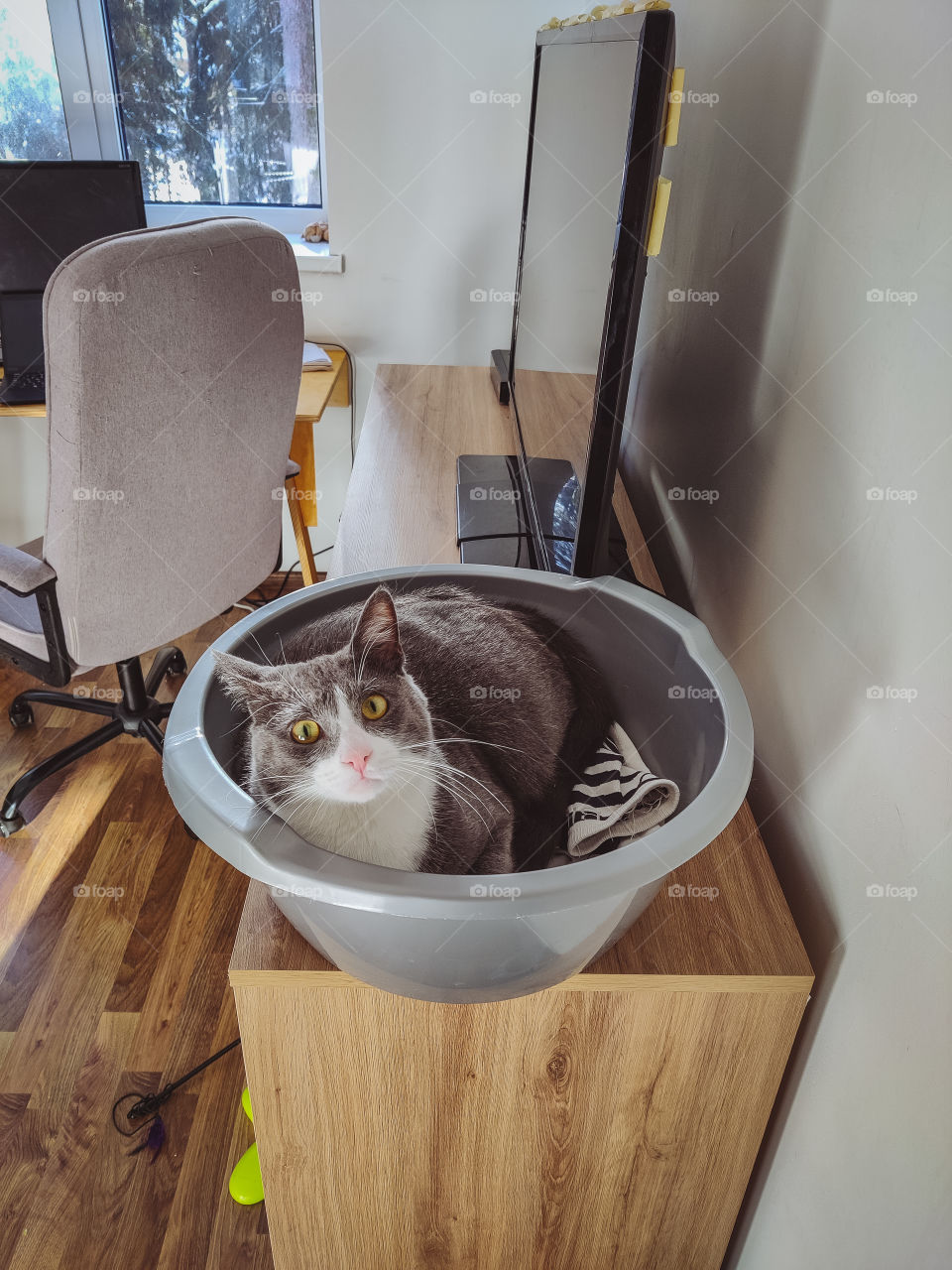 It's not your bowl, it's my bowl..