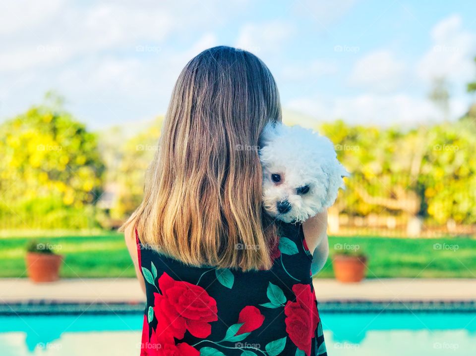 Summery vibrant colors and brightness. Girl wearing red roses dress holding Bichon puppy close. Pup peers over her shoulder at viewer. Poolside with lawn and grove of trees. 