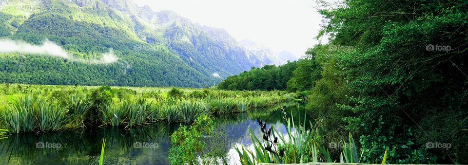 Scenic view of field and mountains