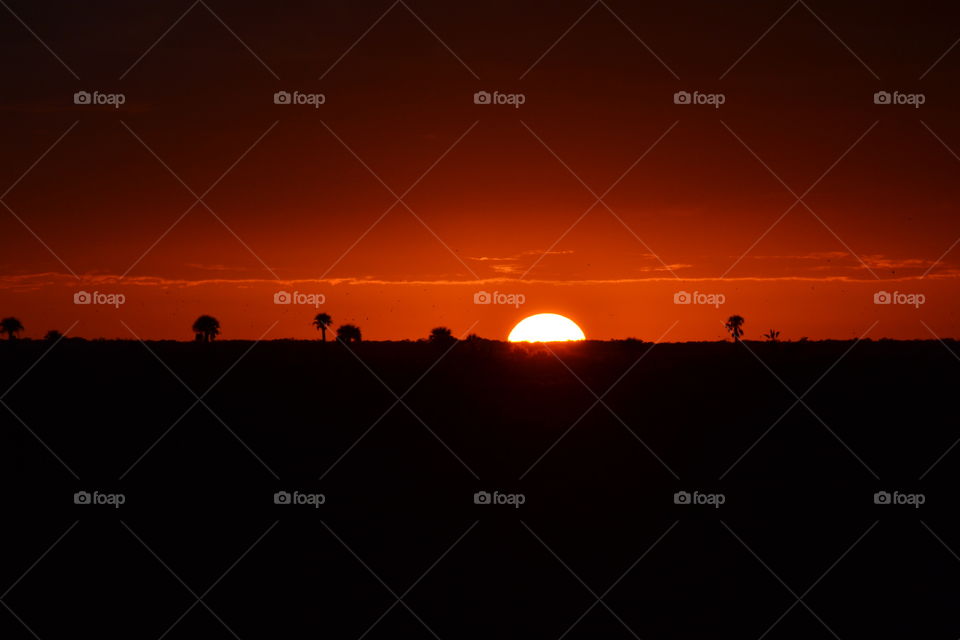 The sun sinking low in and orange and black sky