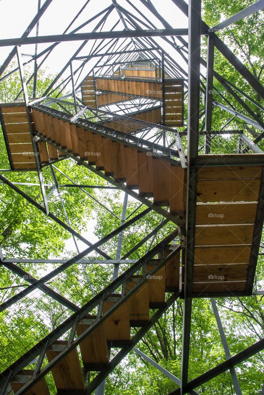 Climbing to the top of the tower at St. Croix State Park in Minnesota