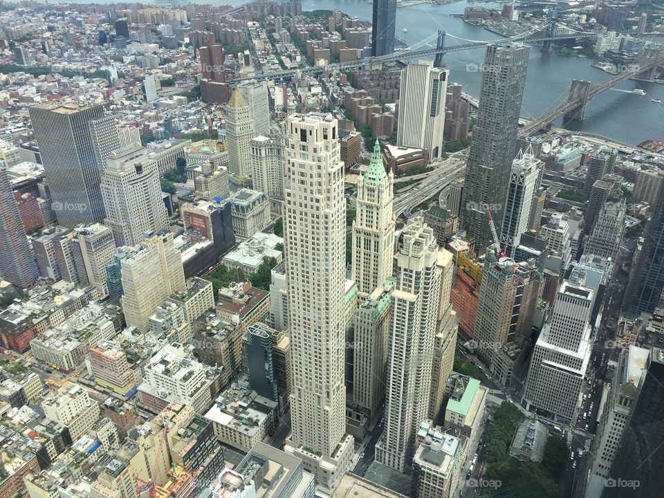 View from Freedom Tower