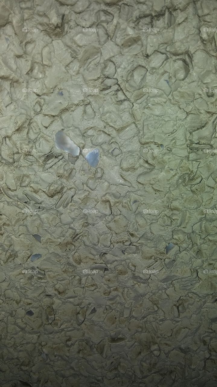 A bit of sparkle shows through on the exterior of a Victorian home.