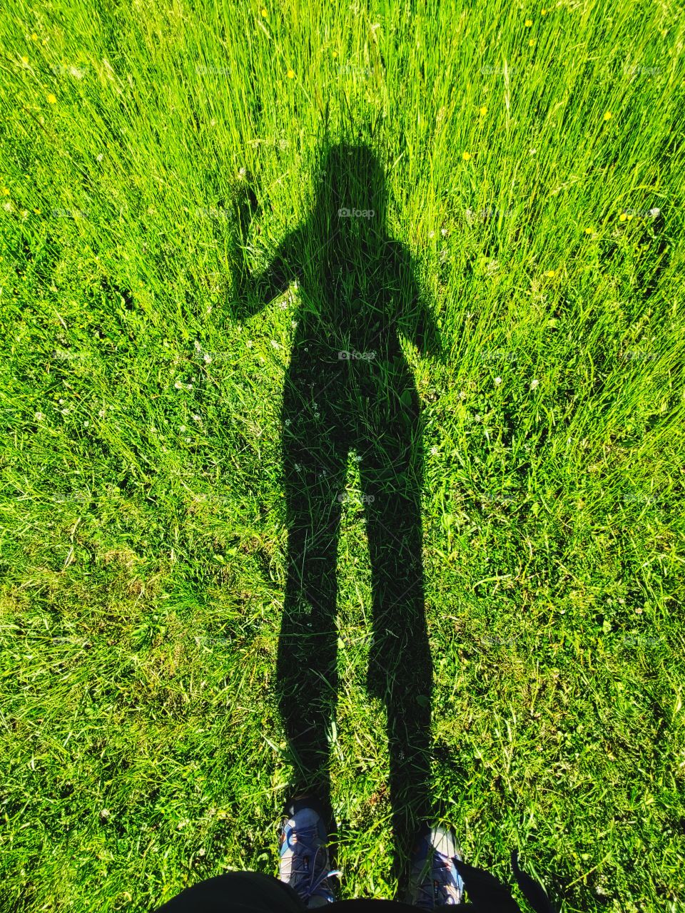 woman's shadow on the grass. Slovakia