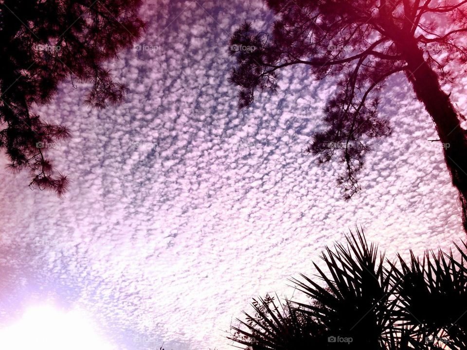 Lovely cloud and sun pattern