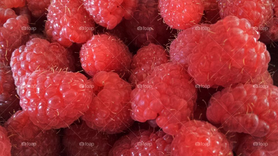 raspberry