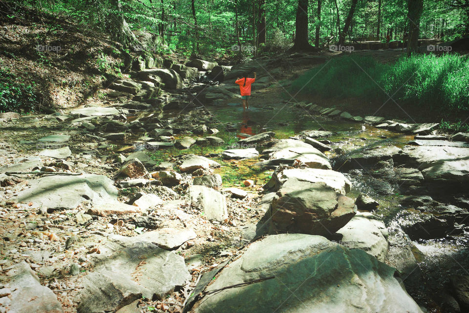 Wood, Water, Nature, No Person, River