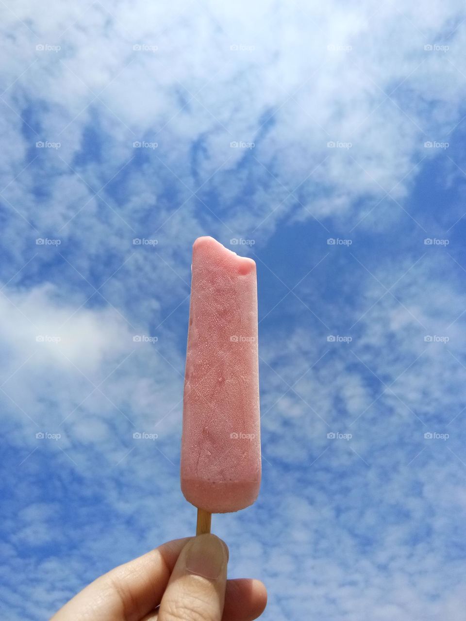 Vacations Series : Summer in the City