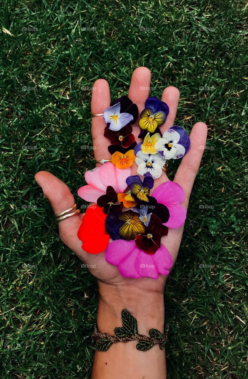 Flower Hand 
