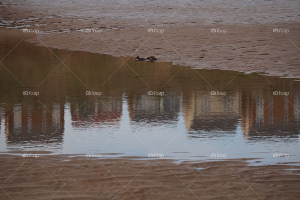 reflections on beach