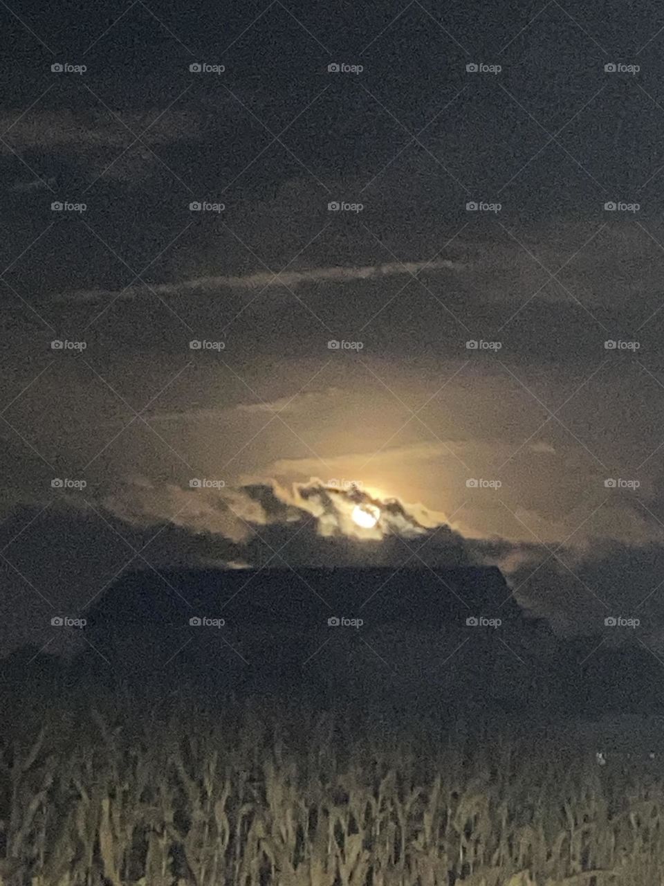 Moon in the sky above the farm