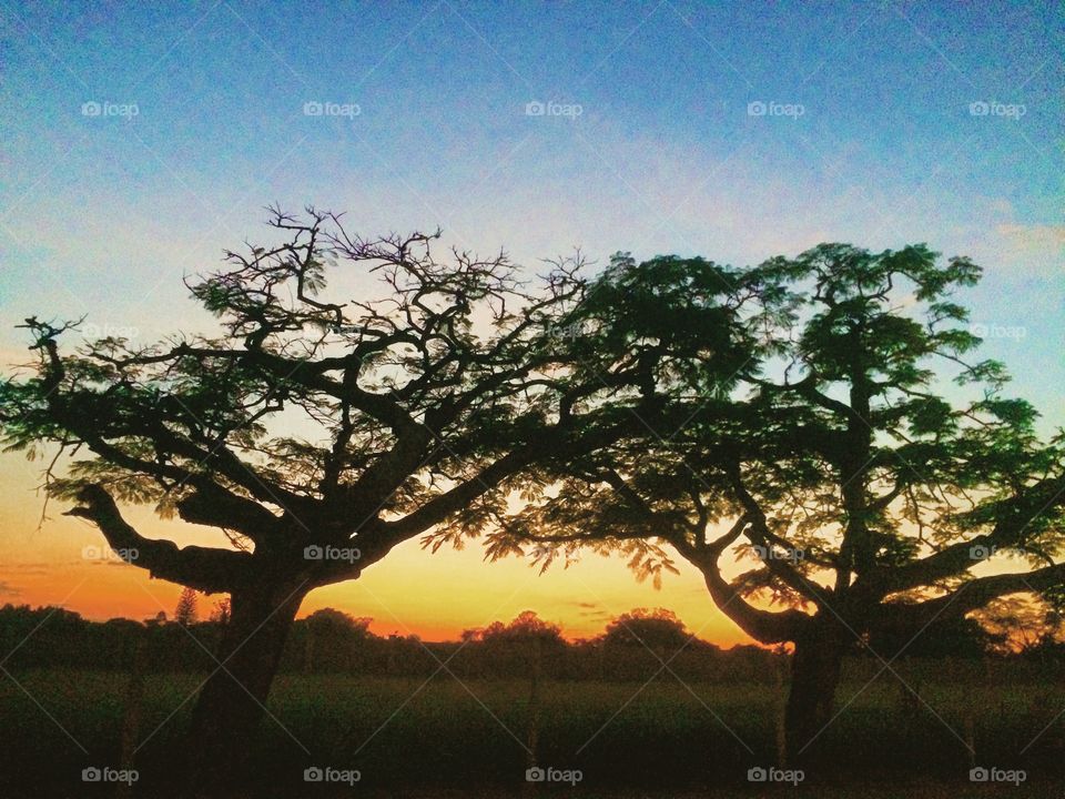 🌅Desperte, Jundiaí. 
Que a jornada diária possa valer a pena!
🍃
#sol #sun #sky #céu #photo #nature #morning #alvorada #natureza #horizonte #fotografia #pictureoftheday #paisagem #inspiração #amanhecer #mobgraphy #mobgrafia #Jundiaí #AmoJundiaí 