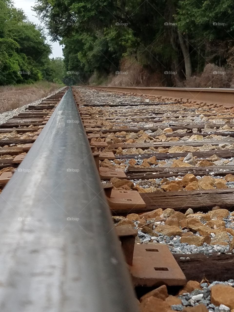 train tracks
