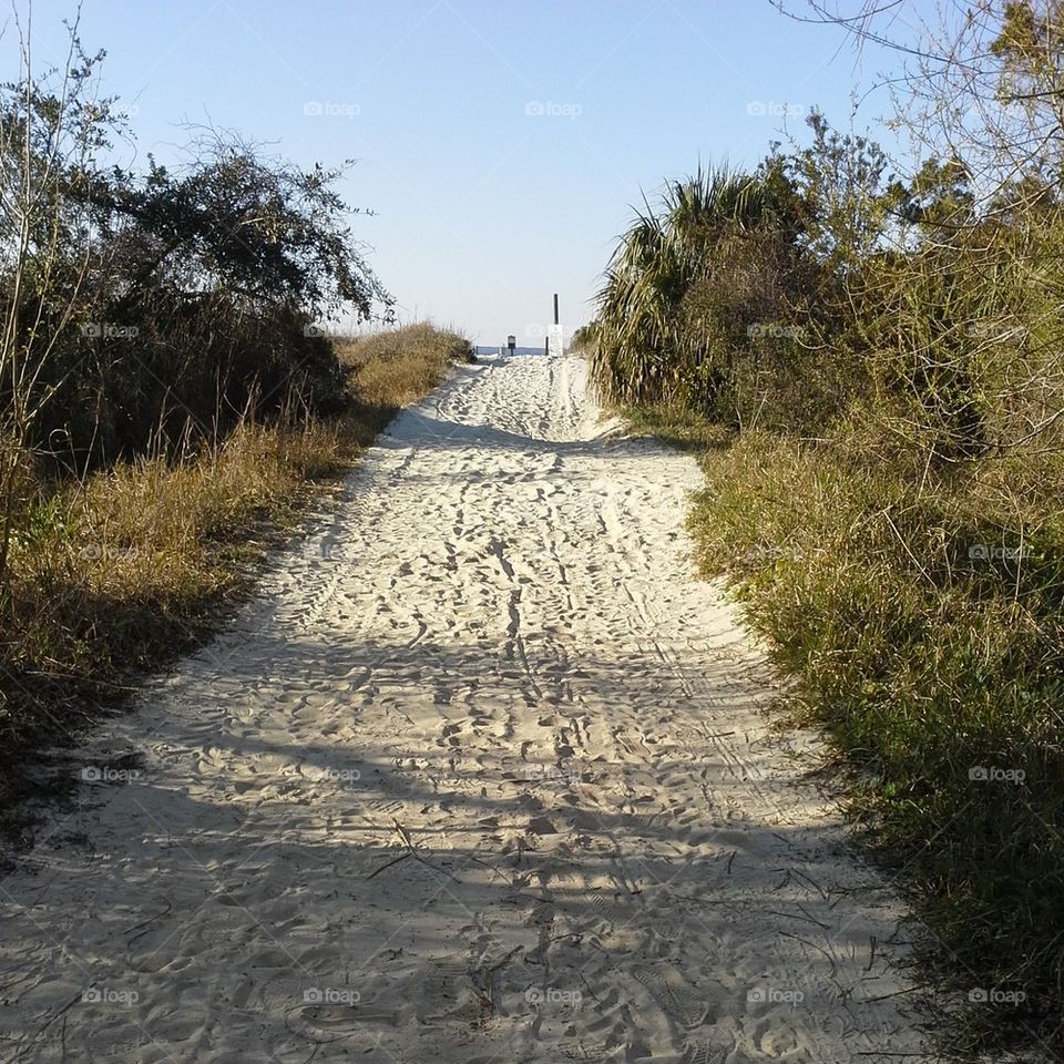 beach path