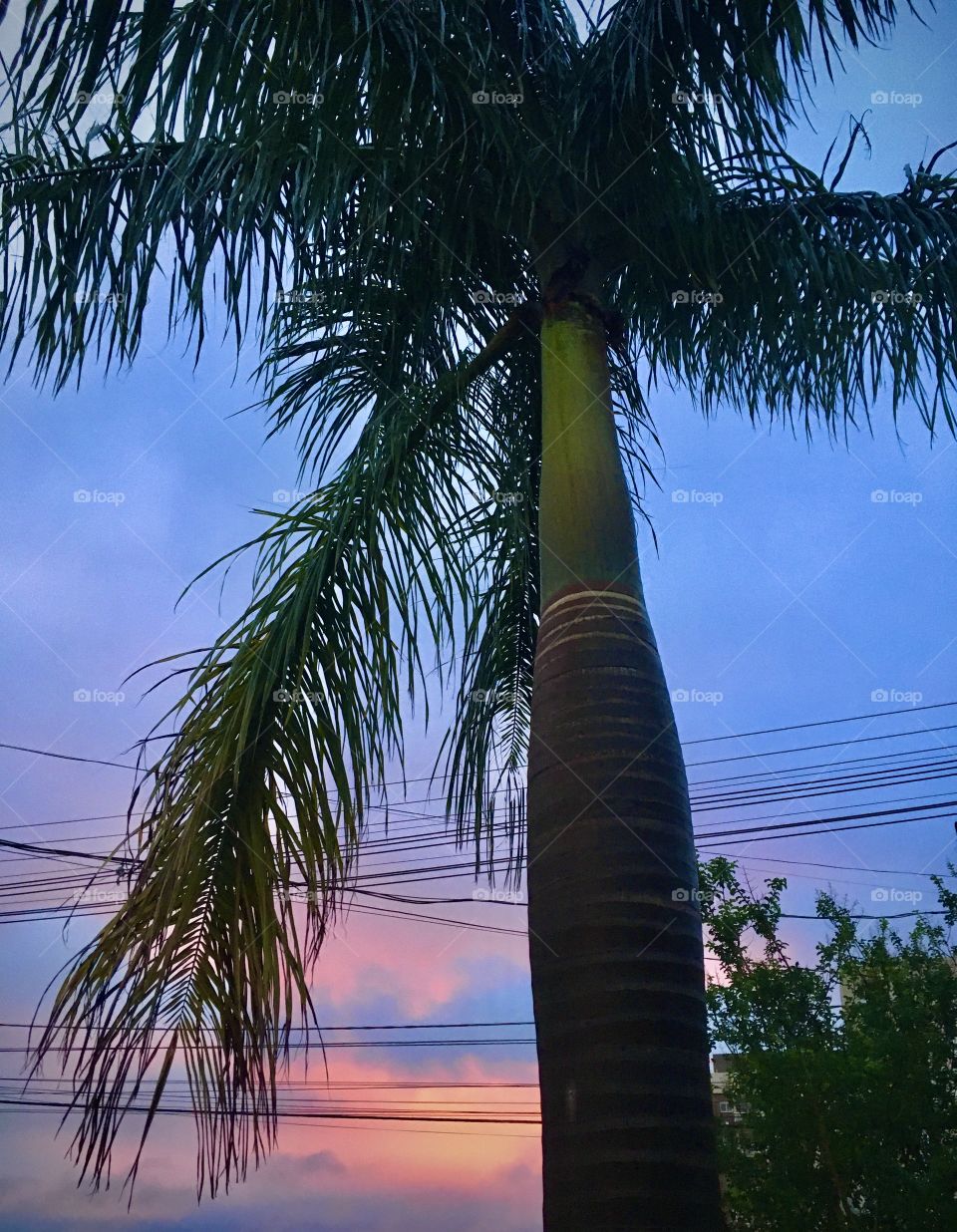 E depois da #chuva da tarde... um #céu azul e rosa!
📸
#FOTOGRAFIAéNOSSOhobby
#paisagem #natureza #landscapes #fotografia #photography #inspiration #mobgrafando 
