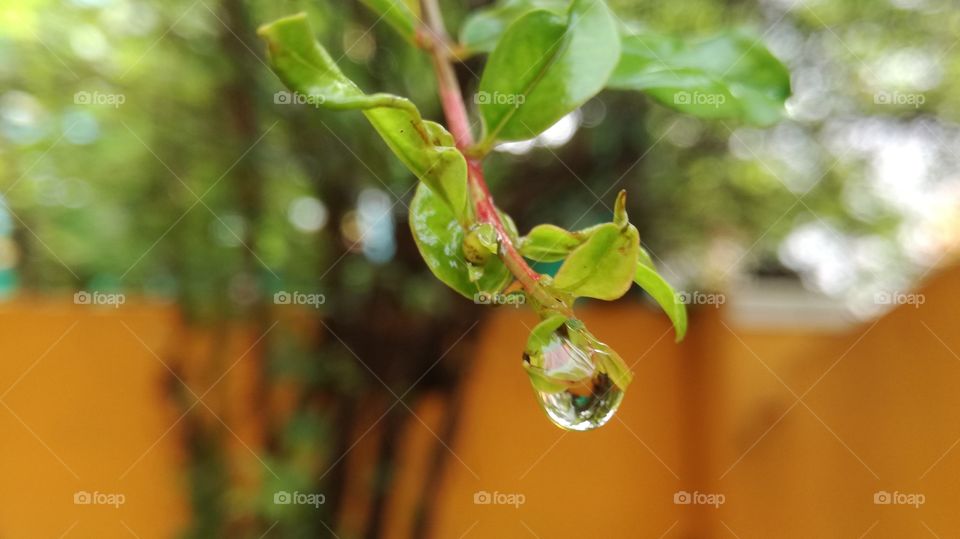 drop fall on the ground before capturing