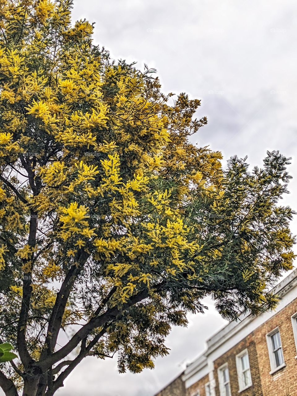 spring in London