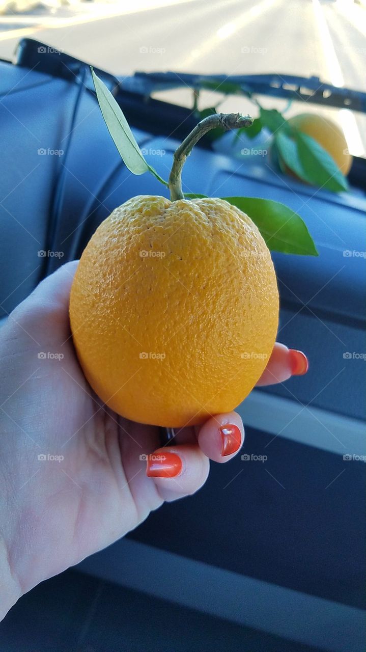 Orange in my hand