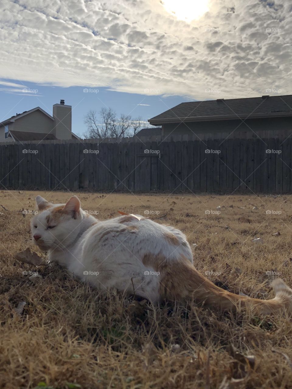 Under the big sky