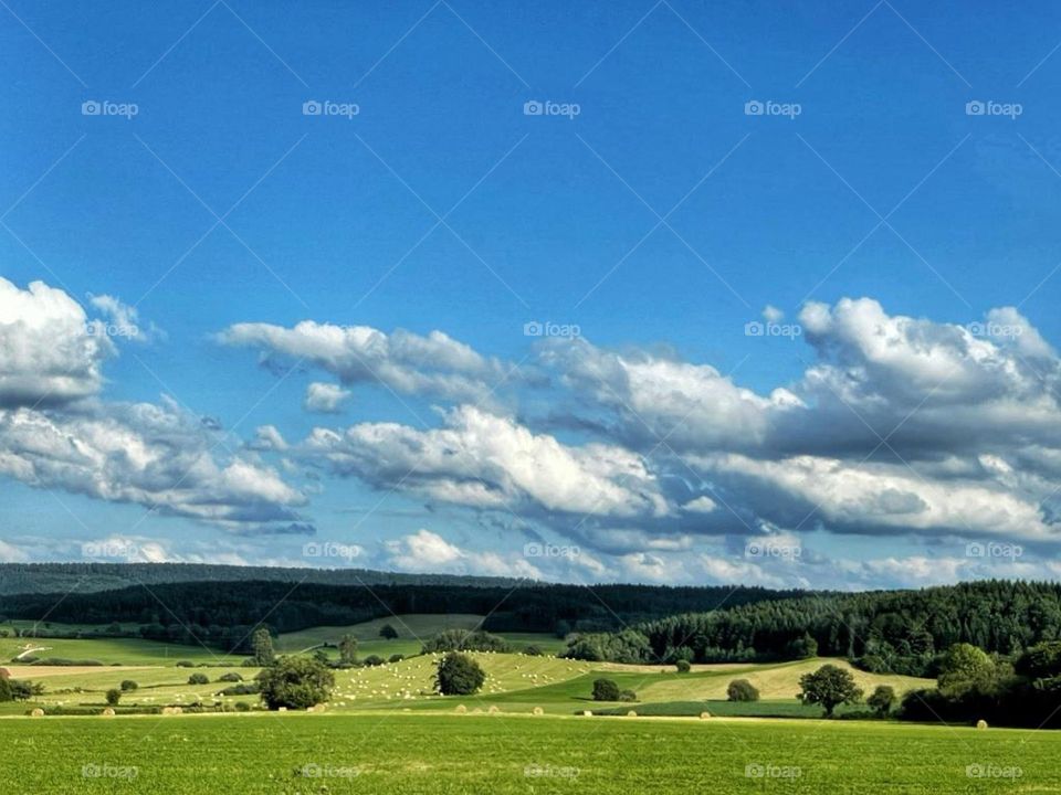 An afternoon in Jura.