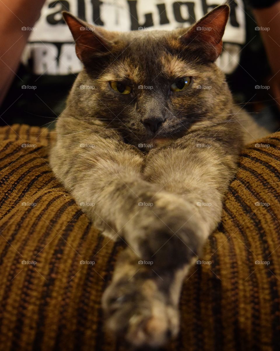 The face you make when you realize tomorrow is Monday! Not ready for the weekend to be done after a busy week! 