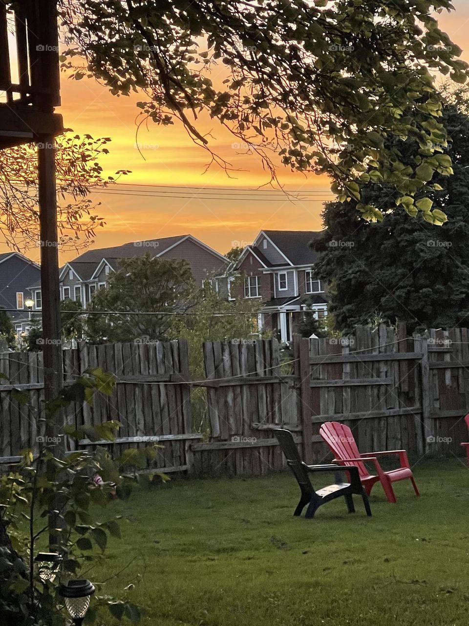 Backyard sunset 