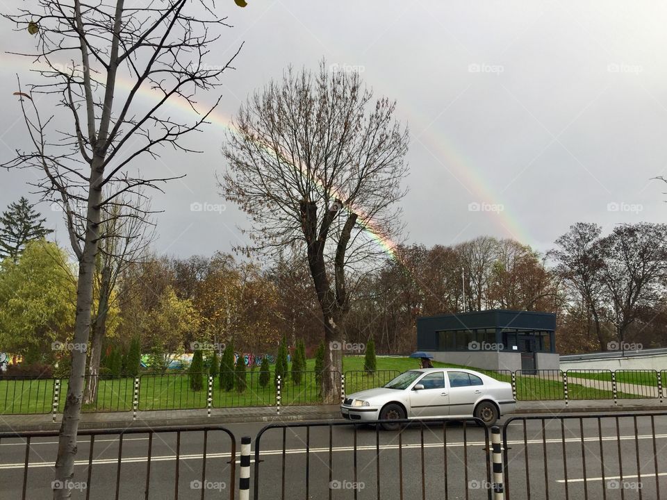 Rainbow in the city