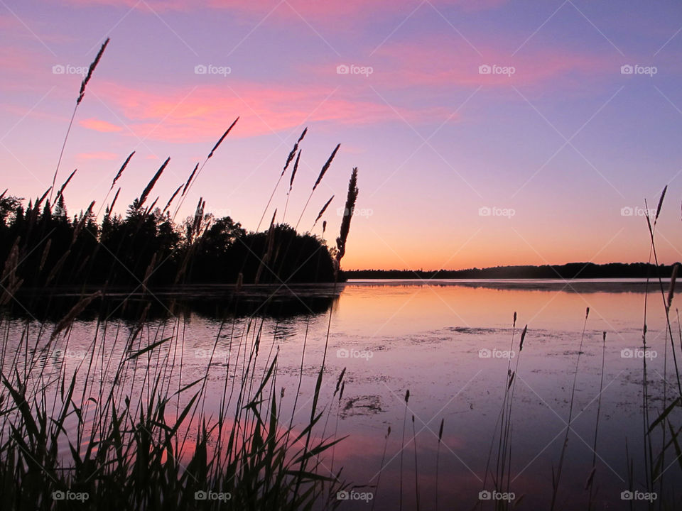 Pink sunset on the lake