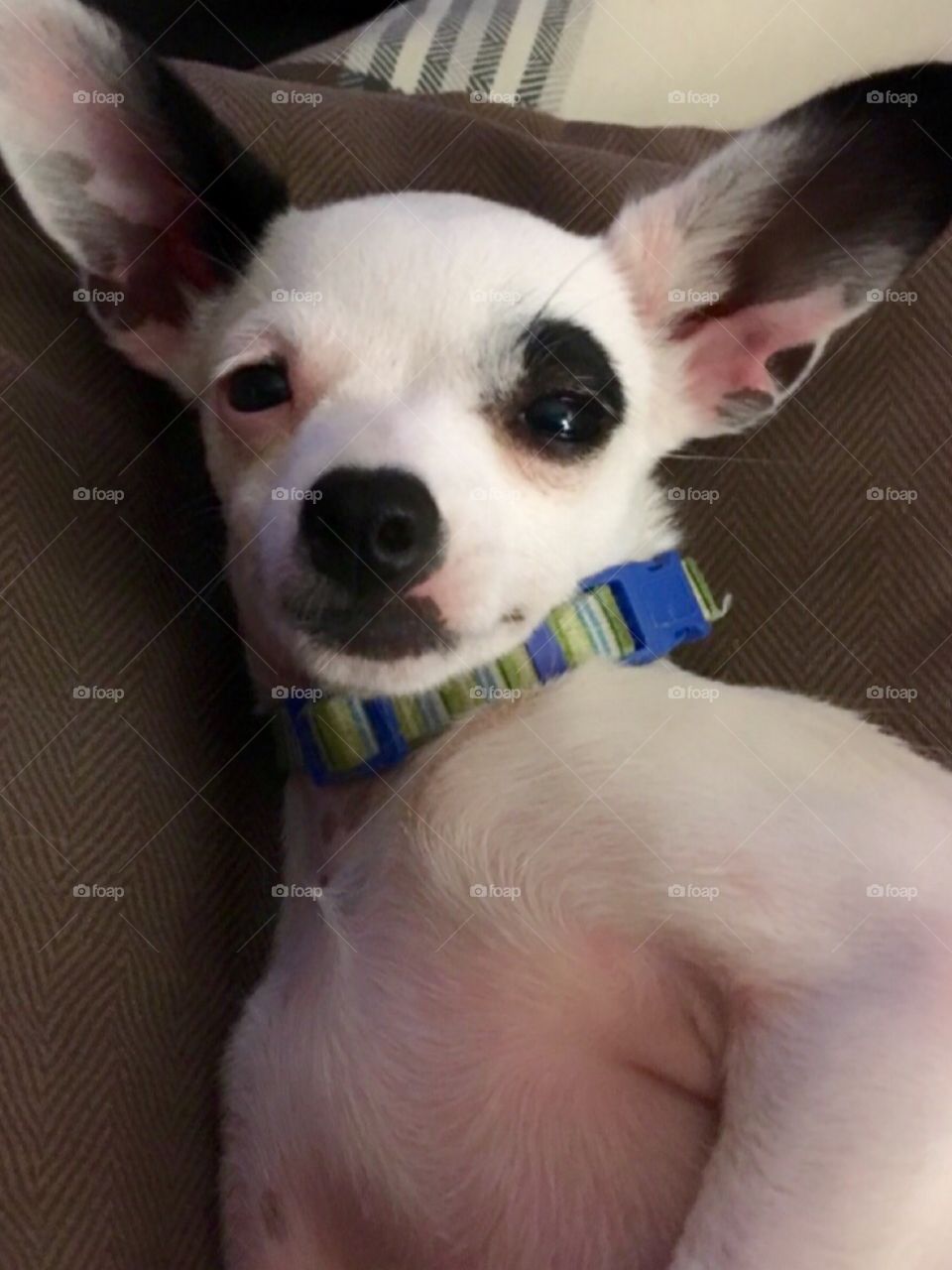 Why are you bothering me ? 