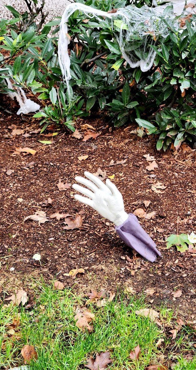 spooky fun zombie hand and fake spiderweb Halloween decorations outside a suburban Otegon home