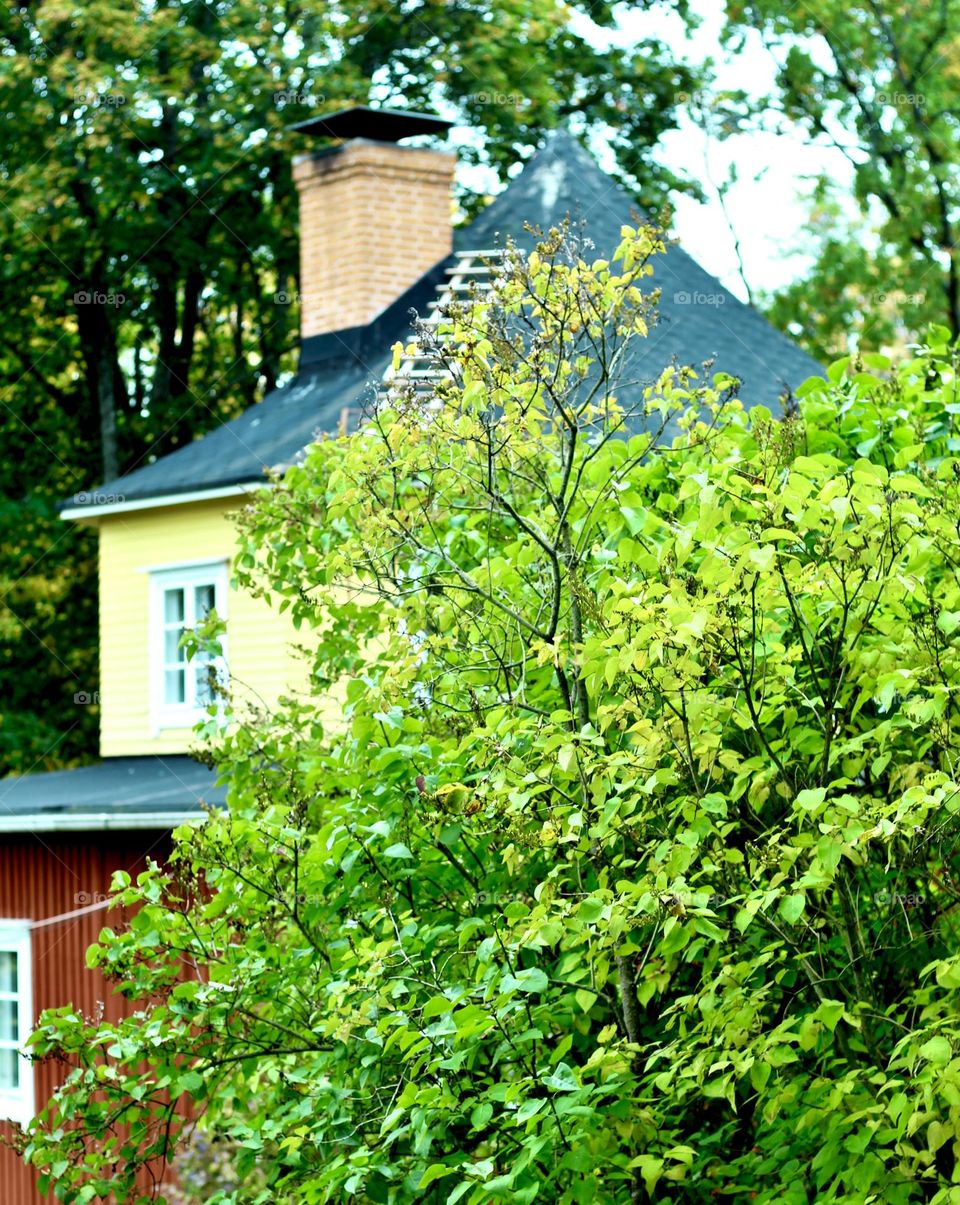 Unique house in green environment