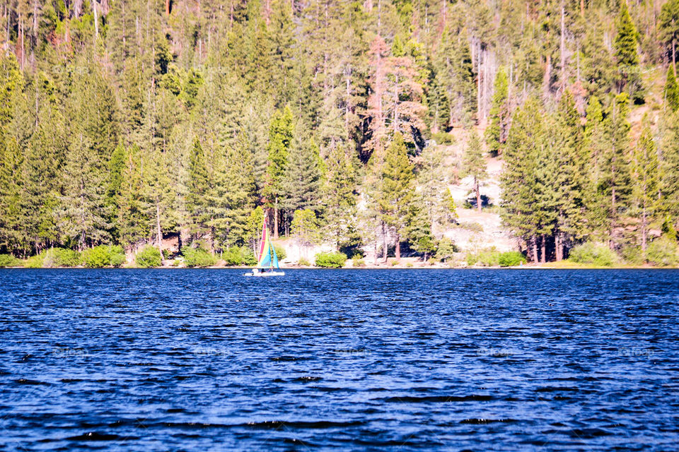 Sailing on Hume Lake