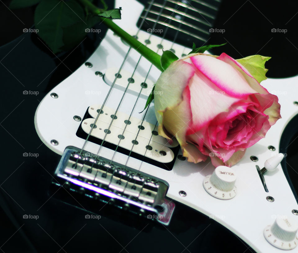 rose and guitar