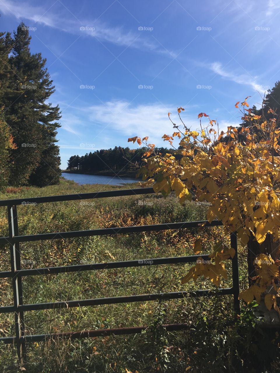 Open the gate to the countryside to enjoy The colors of beautiful Massachusetts Fall Day