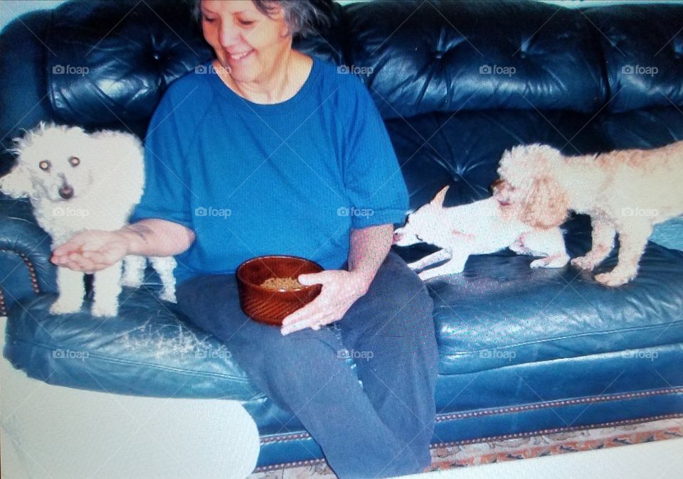 Three dogs on couch with woman, feeding one while other is kissing me & third is kissing him. The pic will explain🐾🐶😊