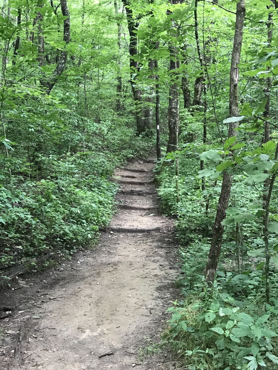 Appalachian Trail