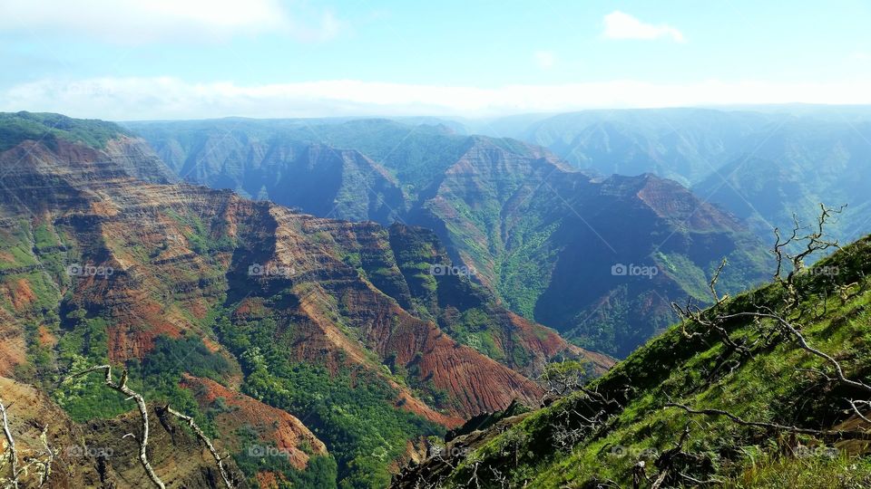 Waimea canyon Kauai