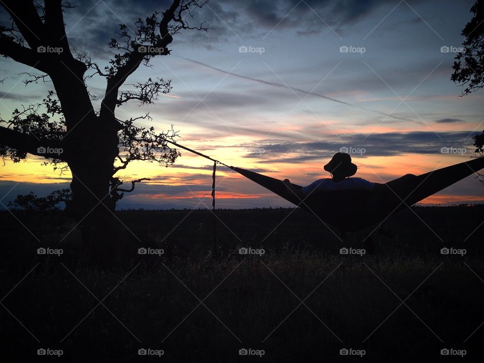 Hammock sunsets