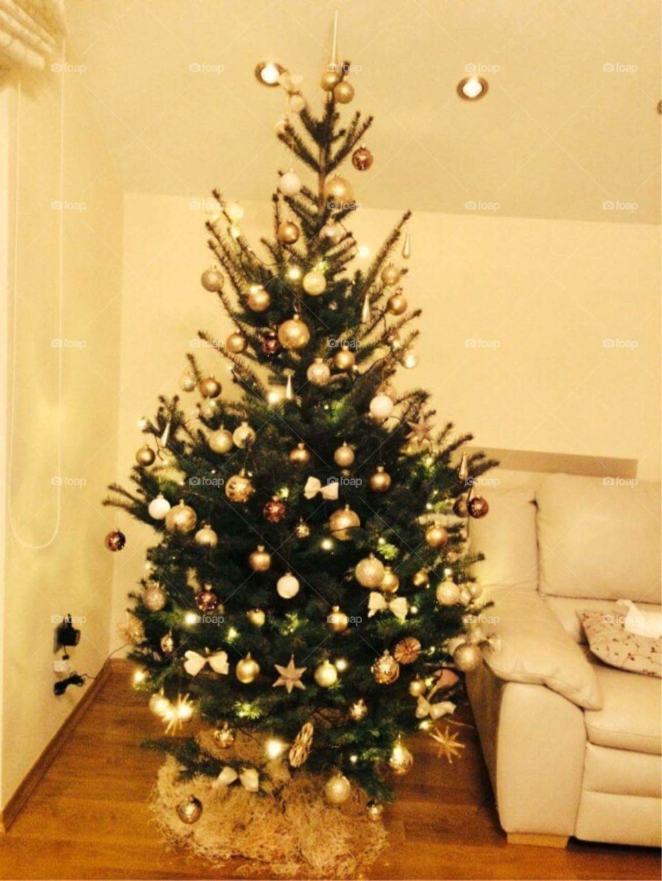 Golden Christmas will come again