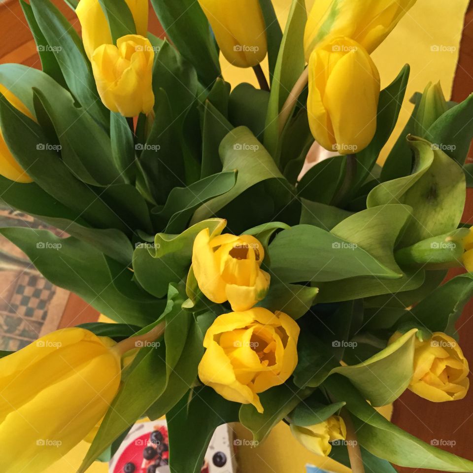 Tulips 