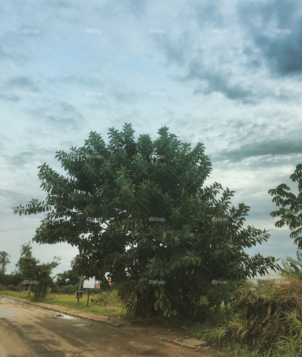 🌄🇺🇸 An extremely beautiful dawn in Jundiaí, interior of Brazil. Cheer the nature! / 🇧🇷 Um amanhecer extremamente bonito em Jundiaí, interior do Brasil. Viva a natureza! 