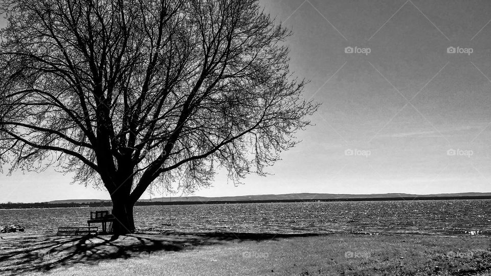 A beautiful place to think 